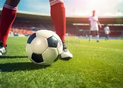 百花迎春,盛典聚焦,家庭,开云体育,开云体育官网,开云体育app,开云体育app下载